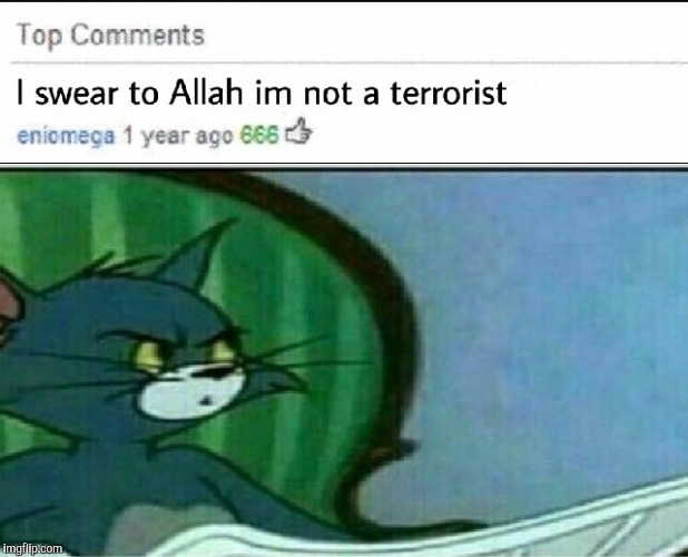 skeptical Tom | image tagged in meme,tom and jerry,skeptical tom,terrorist,youtube comments | made w/ Imgflip meme maker