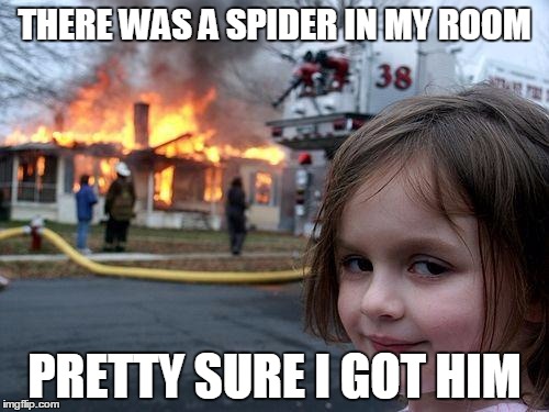 Disaster Girl Meme | THERE WAS A SPIDER IN MY ROOM; PRETTY SURE I GOT HIM | image tagged in memes,disaster girl | made w/ Imgflip meme maker