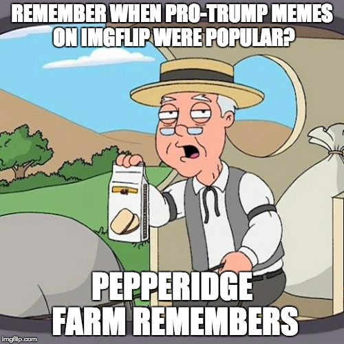 Pepperidge Farm Remembers Meme | REMEMBER WHEN PRO-TRUMP MEMES ON IMGFLIP WERE POPULAR? PEPPERIDGE FARM REMEMBERS | image tagged in memes,pepperidge farm remembers | made w/ Imgflip meme maker