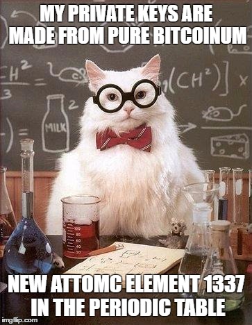 Chemistry Cat | MY PRIVATE KEYS ARE MADE FROM PURE BITCOINUM; NEW ATTOMC ELEMENT 1337 IN THE PERIODIC TABLE | image tagged in chemistry cat | made w/ Imgflip meme maker