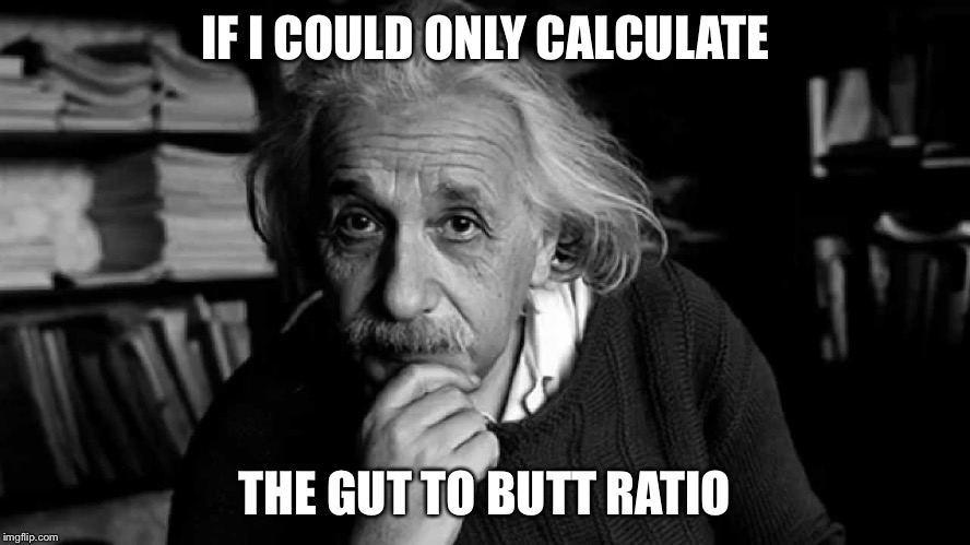 Albert Einstein | IF I COULD ONLY CALCULATE; THE GUT TO BUTT RATIO | image tagged in albert einstein | made w/ Imgflip meme maker