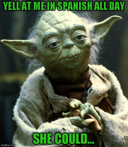 Star Wars Yoda Meme | YELL AT ME IN SPANISH ALL DAY SHE COULD... | image tagged in memes,star wars yoda | made w/ Imgflip meme maker