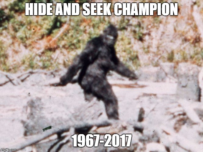 Hide And Seek Champion | HIDE AND SEEK CHAMPION; 1967-2017 | image tagged in bigfoot,memes | made w/ Imgflip meme maker