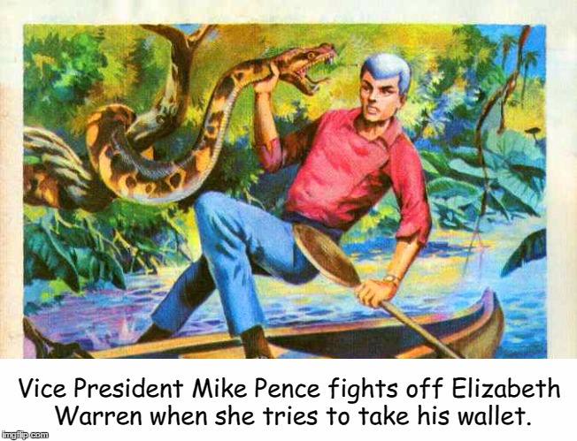 Vice President Mike Pence: Action Hero!  | Vice President Mike Pence fights off Elizabeth Warren when she tries to take his wallet. | image tagged in mike pence,elizabeth warren | made w/ Imgflip meme maker