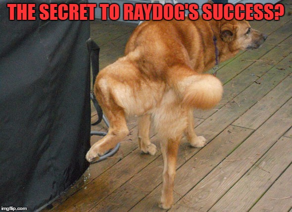 THE SECRET TO RAYDOG'S SUCCESS? | made w/ Imgflip meme maker