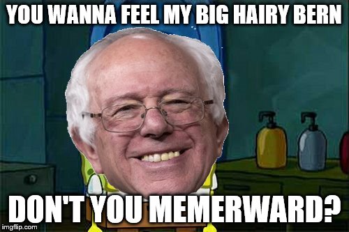 Bernie Don't You X-Ward | YOU WANNA FEEL MY BIG HAIRY BERN DON'T YOU MEMERWARD? | image tagged in bernie don't you x-ward | made w/ Imgflip meme maker