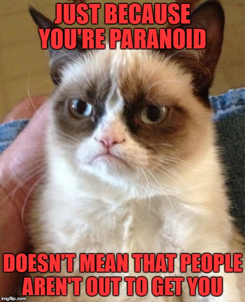 Grumpy Cat Meme | JUST BECAUSE YOU'RE PARANOID; DOESN'T MEAN THAT PEOPLE AREN'T OUT TO GET YOU | image tagged in memes,grumpy cat | made w/ Imgflip meme maker