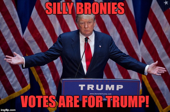 Trump Bruh | SILLY BRONIES VOTES ARE FOR TRUMP! | image tagged in trump bruh | made w/ Imgflip meme maker