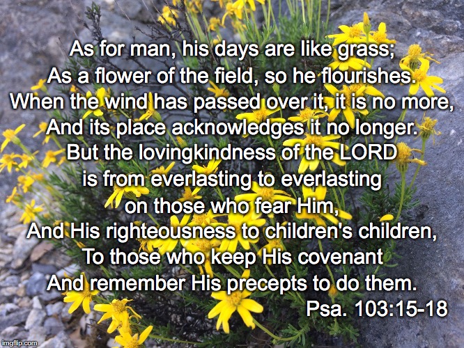 As for man, his days are like grass;; As a flower of the field, so he flourishes. When the wind has passed over it, it is no more, And its place acknowledges it no longer. But the lovingkindness of the LORD; is from everlasting to everlasting; on those who fear Him, And His righteousness to children's children, To those who keep His covenant; And remember His precepts to do them. Psa. 103:15-18 | image tagged in flower | made w/ Imgflip meme maker