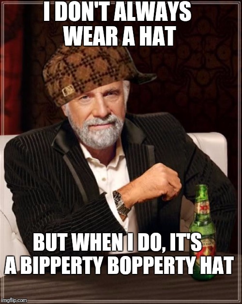 The Most Interesting Man In The World | I DON'T ALWAYS WEAR A HAT; BUT WHEN I DO, IT'S A BIPPERTY BOPPERTY HAT | image tagged in memes,the most interesting man in the world,scumbag | made w/ Imgflip meme maker