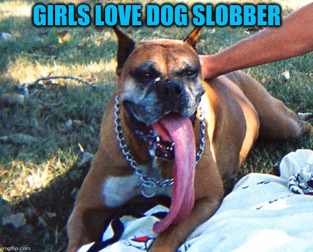 GIRLS LOVE DOG SLOBBER | made w/ Imgflip meme maker