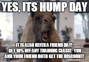 Hump Day Camel | YES, ITS HUMP DAY; IT IS ALSO REFER A FRIEND DAY!  GET 10% OFF ANY TRAINING CLASS!   YOU AND YOUR FRIEND BOTH GET THE DISCOUNT! | image tagged in hump day camel | made w/ Imgflip meme maker