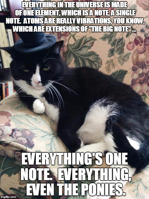 EVERYTHING IN THE UNIVERSE IS MADE OF ONE ELEMENT, WHICH IS A NOTE, A SINGLE NOTE. 
ATOMS ARE REALLY VIBRATIONS, YOU KNOW, WHICH ARE EXTENSIONS OF "THE BIG NOTE" ... EVERYTHING'S ONE NOTE. 
EVERYTHING, 
EVEN THE PONIES. | image tagged in ummachapeau | made w/ Imgflip meme maker
