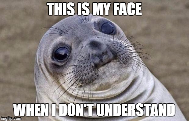 Awkward Moment Sealion | THIS IS MY FACE; WHEN I DON'T UNDERSTAND | image tagged in memes,awkward moment sealion | made w/ Imgflip meme maker