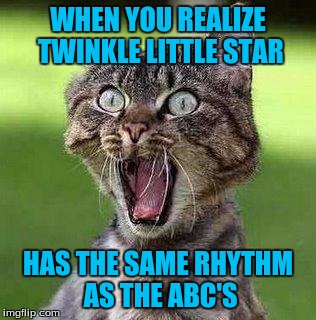 Shocked Cat | WHEN YOU REALIZE TWINKLE LITTLE STAR; HAS THE SAME RHYTHM AS THE ABC'S | image tagged in shocked cat | made w/ Imgflip meme maker
