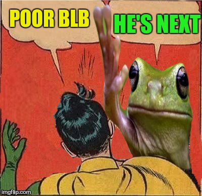 POOR BLB HE'S NEXT | image tagged in frog slapping robin | made w/ Imgflip meme maker
