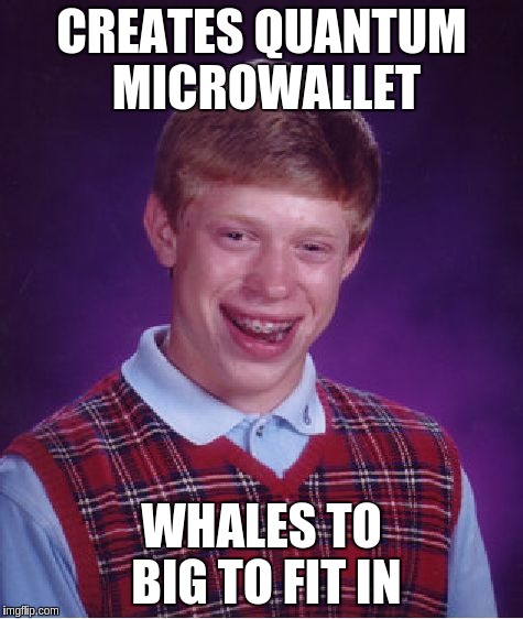 Bad Luck Brian Meme | CREATES QUANTUM MICROWALLET; WHALES TO BIG TO FIT IN | image tagged in memes,bad luck brian | made w/ Imgflip meme maker