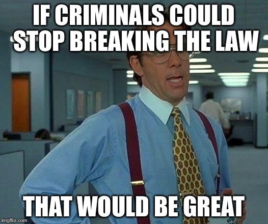 That Would Be Great Meme | IF CRIMINALS COULD STOP BREAKING THE LAW THAT WOULD BE GREAT | image tagged in memes,that would be great | made w/ Imgflip meme maker