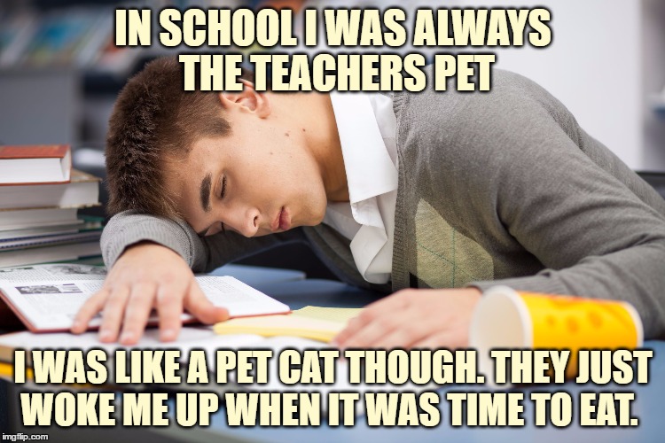 Sleeping Student | IN SCHOOL I WAS ALWAYS THE TEACHERS PET; I WAS LIKE A PET CAT THOUGH. THEY JUST WOKE ME UP WHEN IT WAS TIME TO EAT. | image tagged in sleeping student,teachers pet,funny,funny memes,school | made w/ Imgflip meme maker