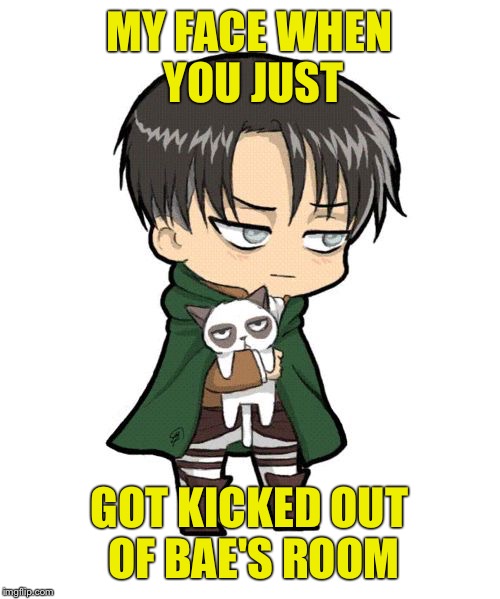 Attack on Titan | MY FACE WHEN YOU JUST; GOT KICKED OUT OF BAE'S ROOM | image tagged in attack on titan | made w/ Imgflip meme maker