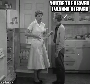 eddie and june | YOU'RE THE BEAVER I WANNA CLEAVER | image tagged in eddie and june | made w/ Imgflip meme maker