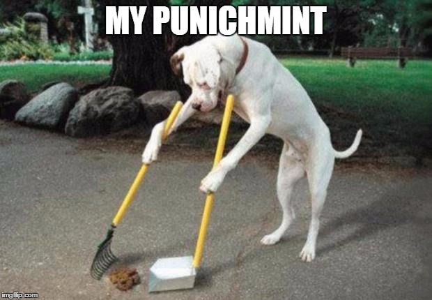 Dog poop | MY PUNICHMINT | image tagged in dog poop | made w/ Imgflip meme maker