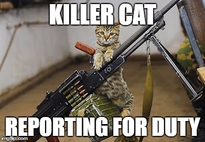 KILLER CAT; REPORTING FOR DUTY | made w/ Imgflip meme maker