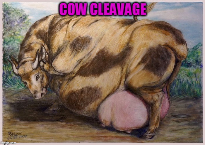 MY SUBMISSION FOR CLEAVAGE WEEK .. AS I, A STRAIGHT GIRL, AM SOOOOO INTO CLEAVAGE HERE GUYS | COW CLEAVAGE | image tagged in meme,the original and unimproved,cows,cleavage week,this shouldn't be nsfw | made w/ Imgflip meme maker