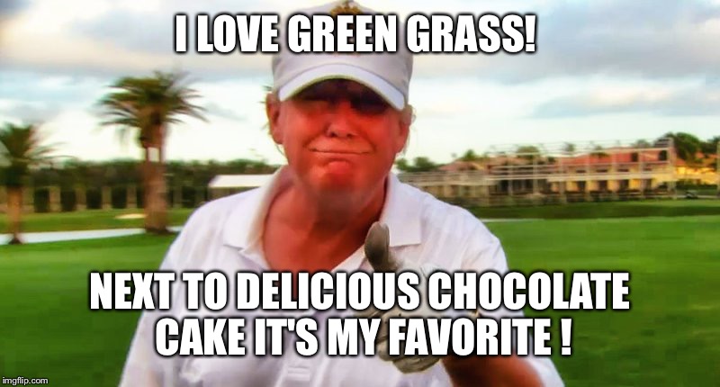 I LOVE GREEN GRASS! NEXT TO DELICIOUS CHOCOLATE CAKE IT'S MY FAVORITE ! | made w/ Imgflip meme maker