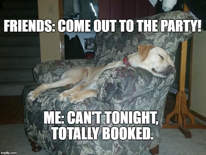 FRIENDS: COME OUT TO THE PARTY! ME: CAN'T TONIGHT, TOTALLY BOOKED. | image tagged in introvert,dogs | made w/ Imgflip meme maker