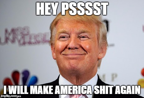 Donald trump approves | HEY PSSSST; I WILL MAKE AMERICA SHIT AGAIN | image tagged in donald trump approves | made w/ Imgflip meme maker