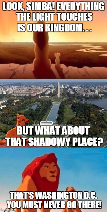 That, my son, is Trumperica. You must never go there. | LOOK, SIMBA! EVERYTHING THE LIGHT TOUCHES IS OUR KINGDOM. . . BUT WHAT ABOUT THAT SHADOWY PLACE? THAT'S WASHINGTON D.C. YOU MUST NEVER GO THERE! | image tagged in funny,politics,washington dc,everything the light touches,lion king,memes | made w/ Imgflip meme maker