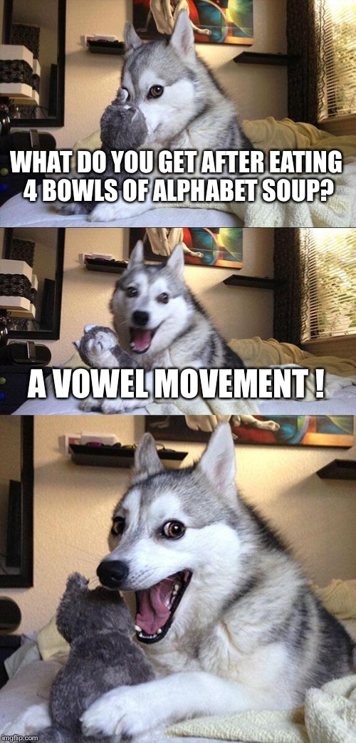 WHAT DO YOU GET AFTER EATING 4 BOWLS OF ALPHABET SOUP? A VOWEL MOVEMENT ! | image tagged in memes,bad pun dog | made w/ Imgflip meme maker