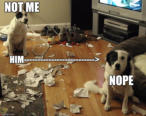 guiltydogs | NOT ME; HIM-------------------------->; NOPE | image tagged in guiltydogs | made w/ Imgflip meme maker