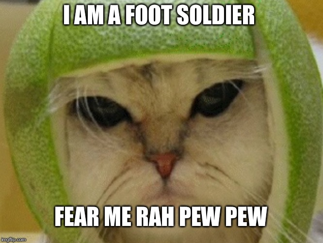 Pew  | I AM A FOOT SOLDIER; FEAR ME RAH PEW PEW | image tagged in cats | made w/ Imgflip meme maker