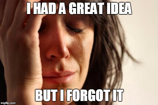 First World Problems Meme | I HAD A GREAT IDEA; BUT I FORGOT IT | image tagged in memes,first world problems,great wall of trump | made w/ Imgflip meme maker