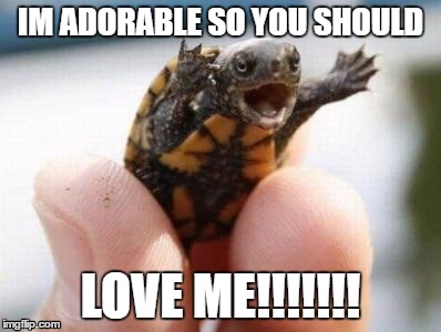 LOVE ME!!! | IM ADORABLE SO YOU SHOULD; LOVE ME!!!!!!! | image tagged in love me | made w/ Imgflip meme maker