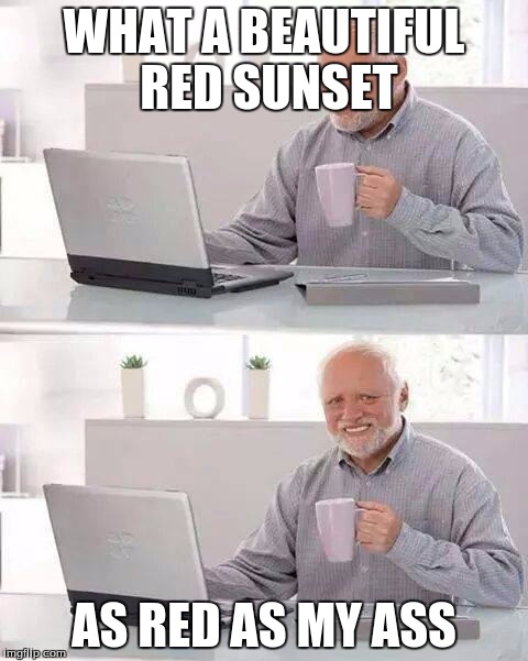 Hide the Pain Harold | WHAT A BEAUTIFUL RED SUNSET; AS RED AS MY ASS | image tagged in memes,hide the pain harold,cleavage week | made w/ Imgflip meme maker
