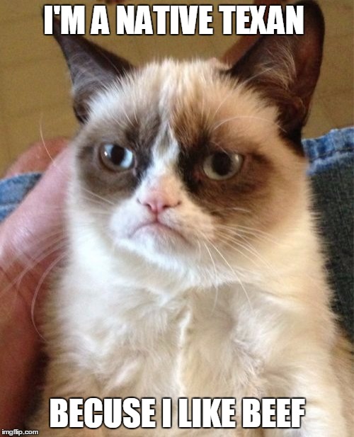 Grumpy Cat Meme | I'M A NATIVE TEXAN; BECUSE I LIKE BEEF | image tagged in memes,grumpy cat | made w/ Imgflip meme maker
