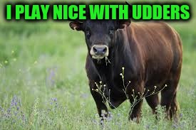 I PLAY NICE WITH UDDERS | made w/ Imgflip meme maker