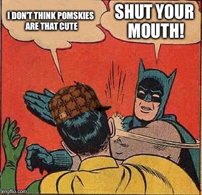 Batman Slapping Robin Meme | I DON'T THINK POMSKIES ARE THAT CUTE; SHUT YOUR MOUTH! | image tagged in memes,batman slapping robin,scumbag | made w/ Imgflip meme maker