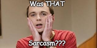 Was THAT; Sarcasm??? | image tagged in wasthatsarcasm,sheldoncooper,thebigbangtheory | made w/ Imgflip meme maker