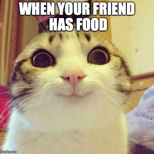 Smiling Cat | WHEN YOUR FRIEND HAS FOOD | image tagged in memes,smiling cat | made w/ Imgflip meme maker