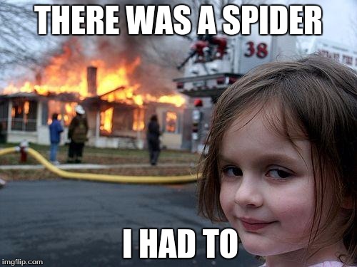 Disaster Girl | THERE WAS A SPIDER; I HAD TO | image tagged in memes,disaster girl | made w/ Imgflip meme maker