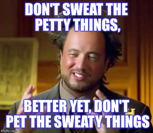 Ancient Aliens | DON'T SWEAT THE PETTY THINGS, BETTER YET, DON'T PET THE SWEATY THINGS | image tagged in memes,ancient aliens | made w/ Imgflip meme maker