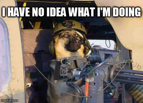 image tagged in funny,dogs,i have no idea what i am doing | made w/ Imgflip meme maker