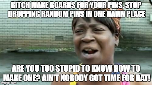 Ain't Nobody Got Time For That Meme | BITCH MAKE BOARDS FOR YOUR PINS, STOP DROPPING RANDOM PINS IN ONE DAMN PLACE; ARE YOU TOO STUPID TO KNOW HOW TO MAKE ONE? AIN'T NOBODY GOT TIME FOR DAT! | image tagged in memes,aint nobody got time for that | made w/ Imgflip meme maker