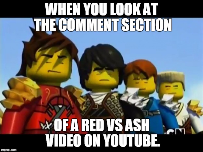 I want this to stop | WHEN YOU LOOK AT THE COMMENT SECTION; OF A RED VS ASH VIDEO ON YOUTUBE. | image tagged in ninjago | made w/ Imgflip meme maker