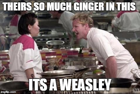 Angry Chef Gordon Ramsay | THEIRS SO MUCH GINGER IN THIS; ITS A WEASLEY | image tagged in memes,angry chef gordon ramsay | made w/ Imgflip meme maker