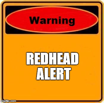 Warning Sign Meme | REDHEAD ALERT | image tagged in memes,warning sign | made w/ Imgflip meme maker